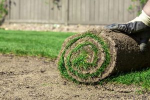 Garden turfing