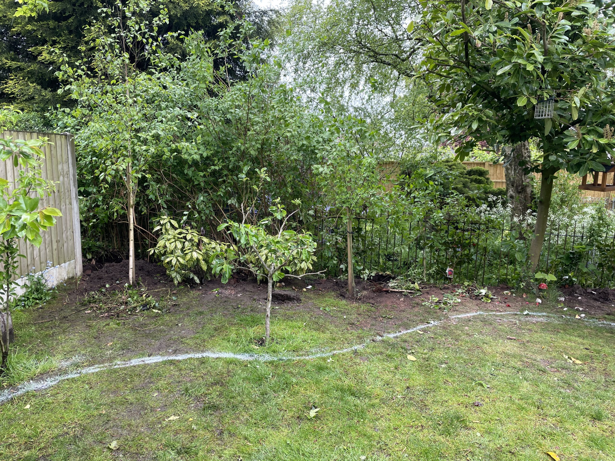 Lawn in a Stone garden before the new slate patio and planter border