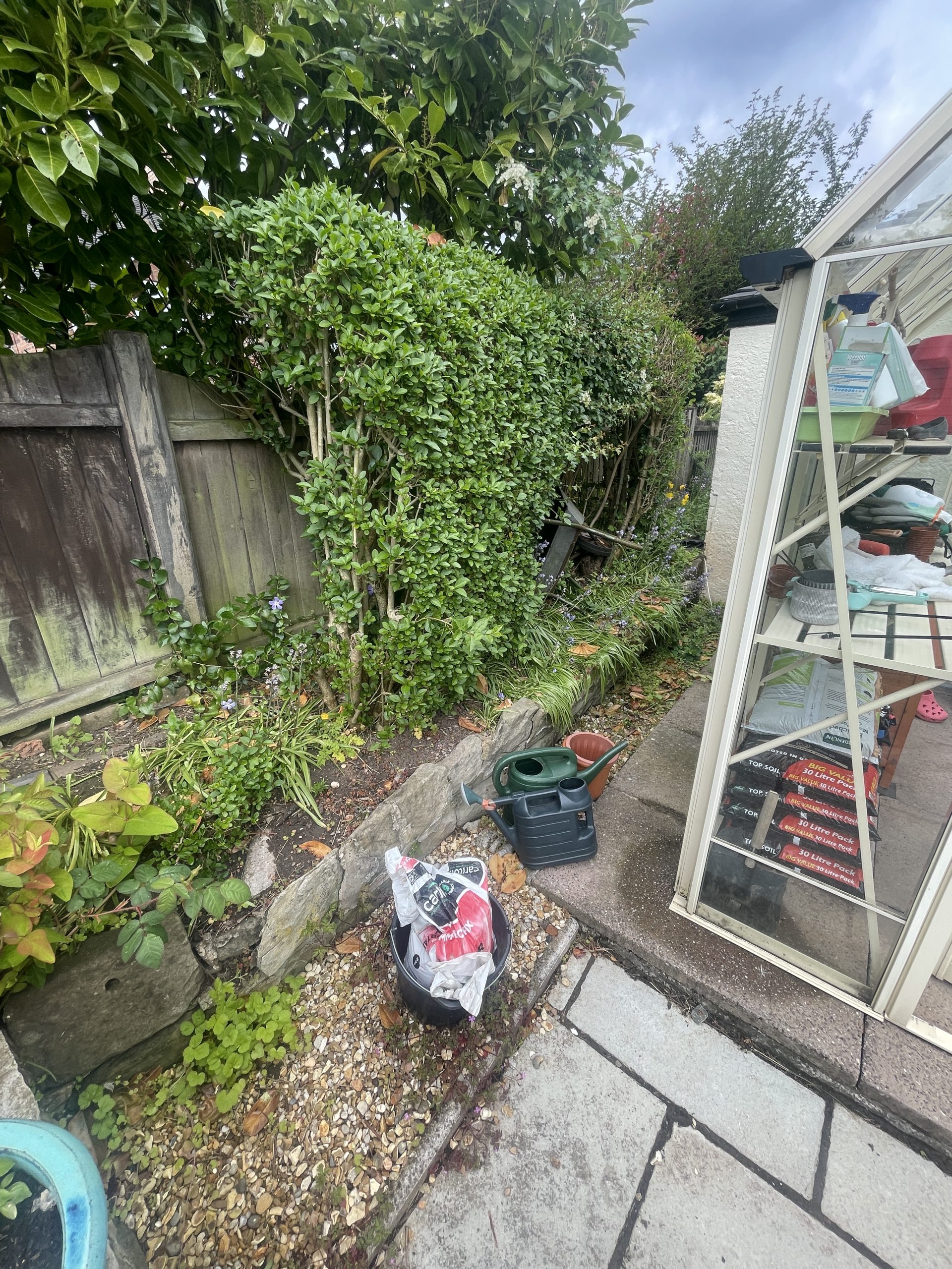 Old stone wall beside the greenhouse before the sleeper bed, Trentham